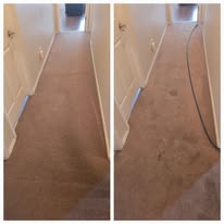 Rigos Steam Cleaning and More LLC - Business Photo Gallery Image
