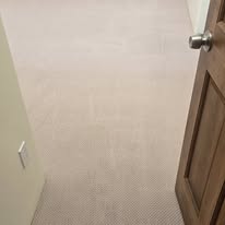 Rigos Steam Cleaning and More LLC - Business Photo Gallery Image