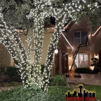 Christmas Lights 4 U - Business Photo Gallery Image
