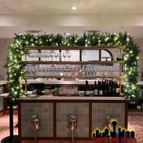 Christmas Lights 4 U - Business Photo Gallery Image