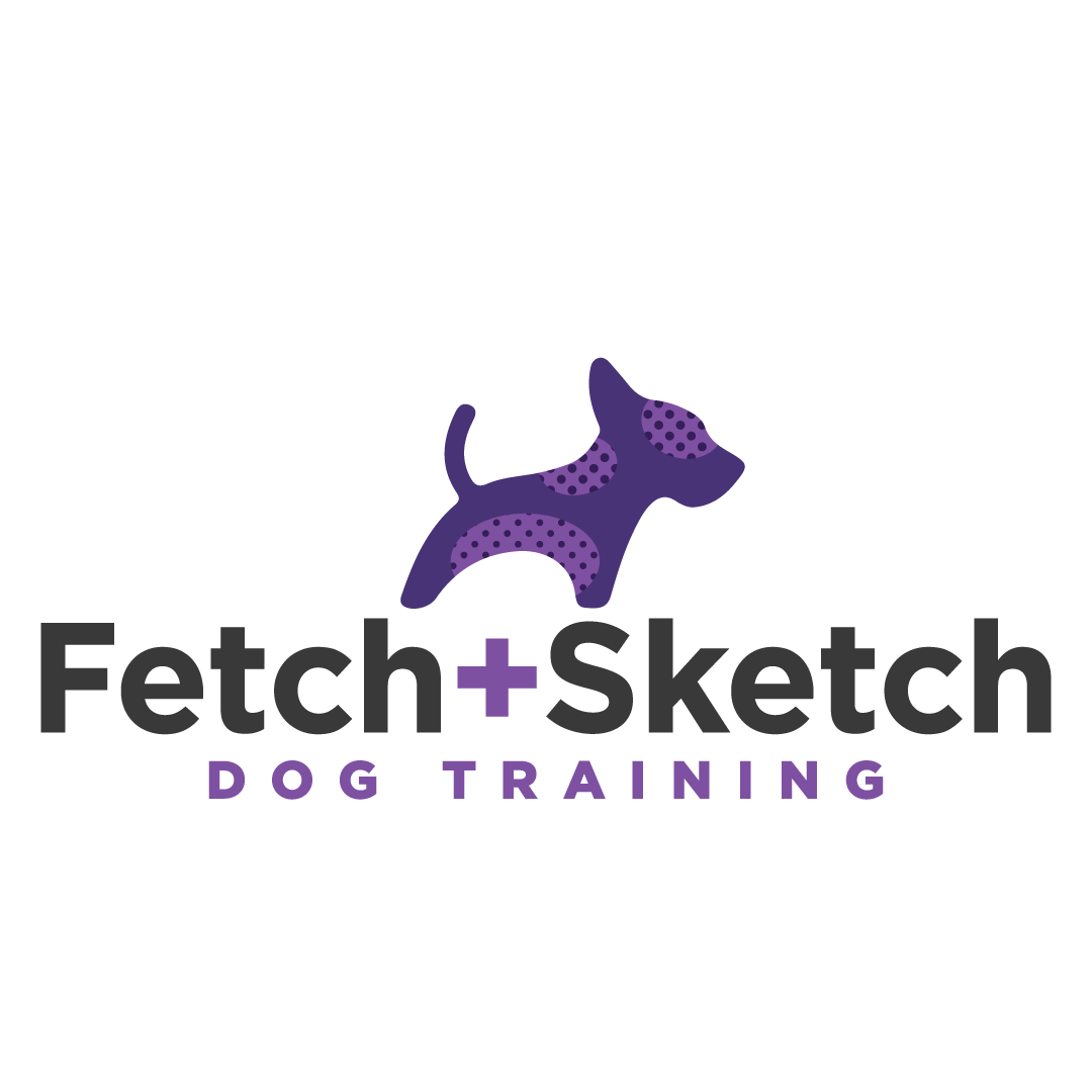 Fetch & Sketch Dog Training