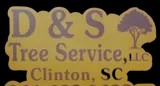 D&S Tree Service and Demolition LLC - Logo
