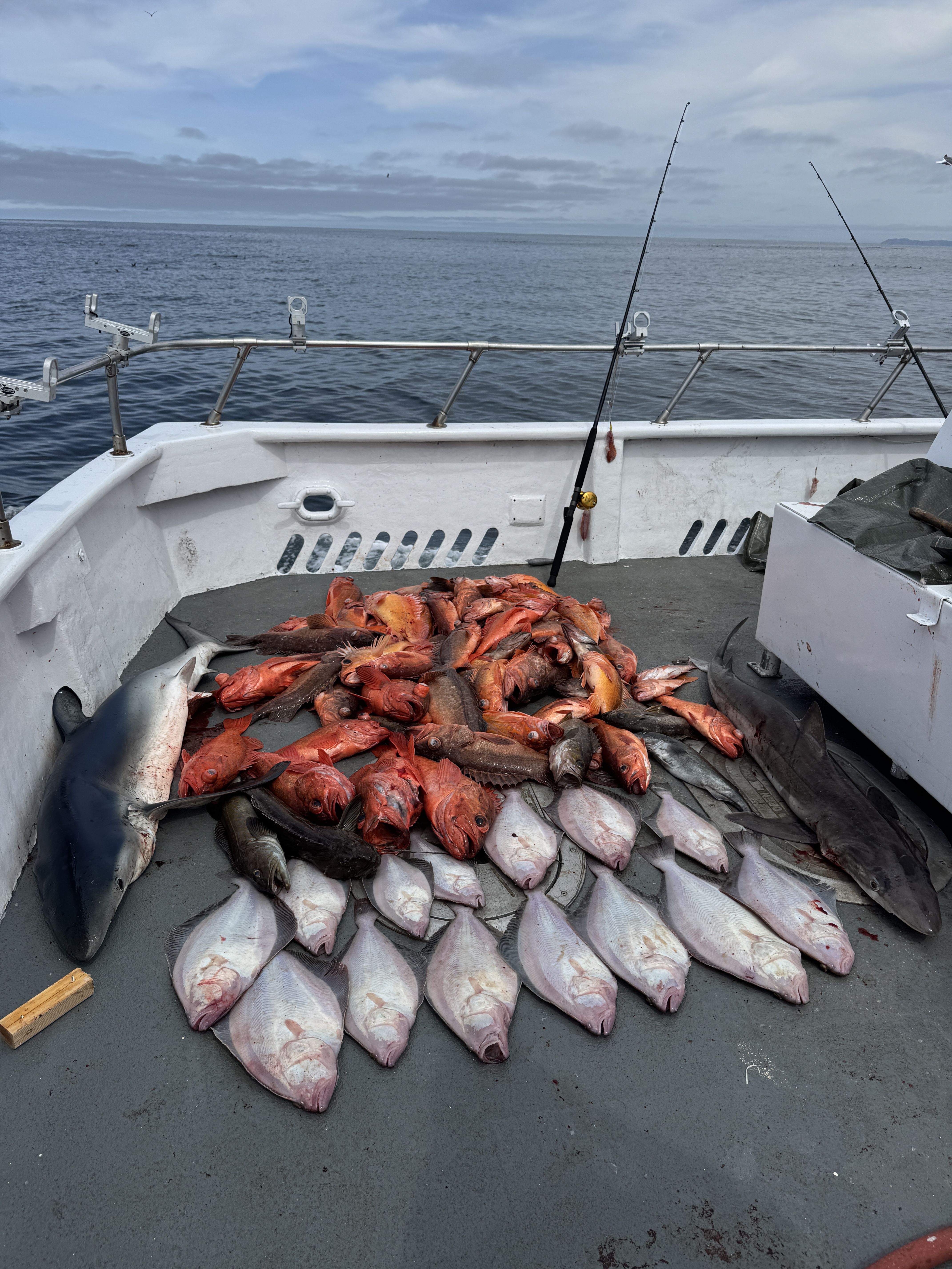 Amethyst Fishing Charters - Business Photo Gallery Image