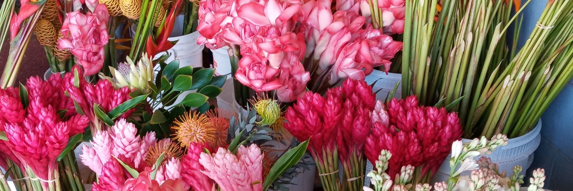 Maui Tropical Flowers - Business Photo Gallery Image