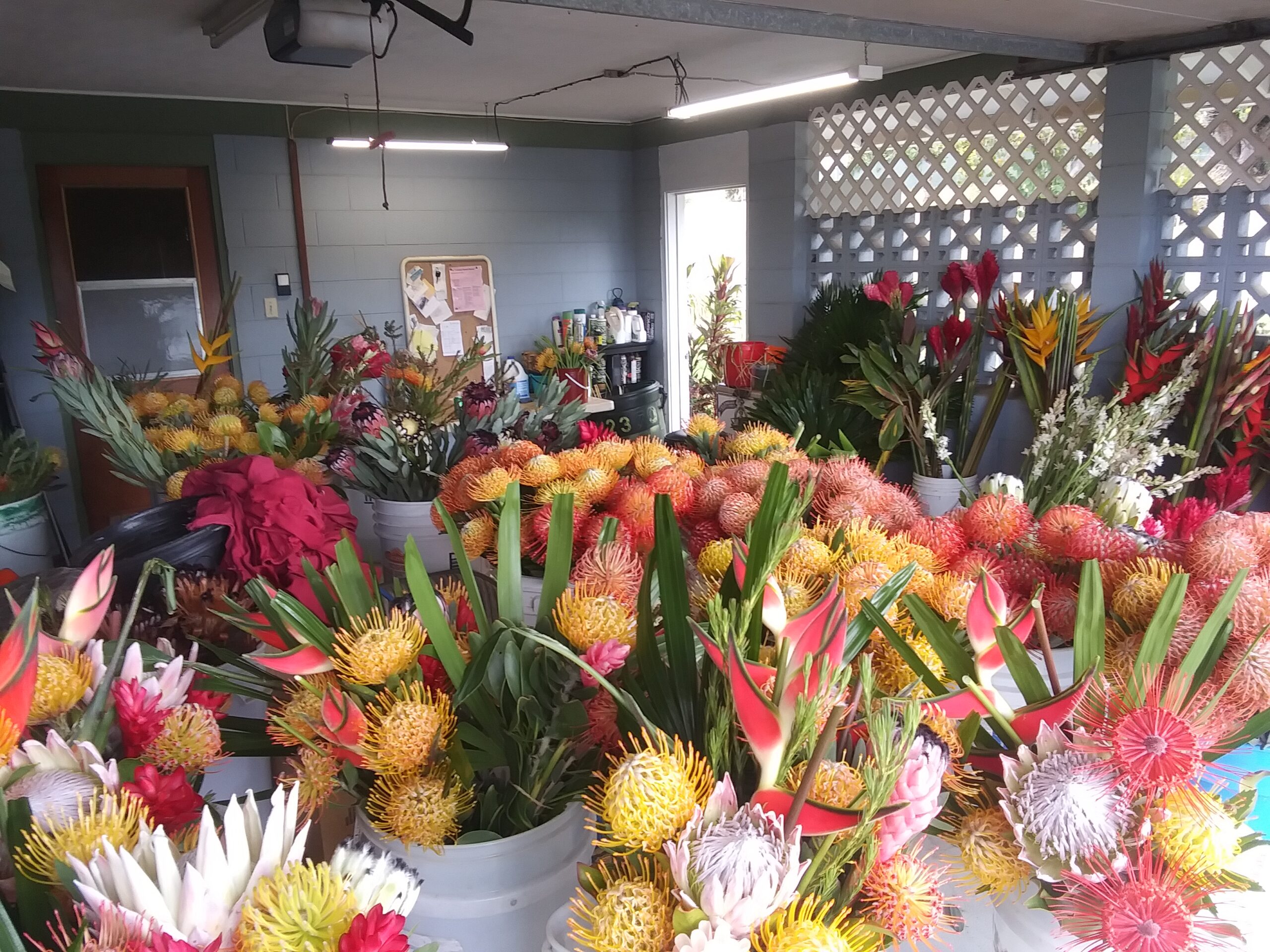 Maui Tropical Flowers - Business Photo Gallery Image