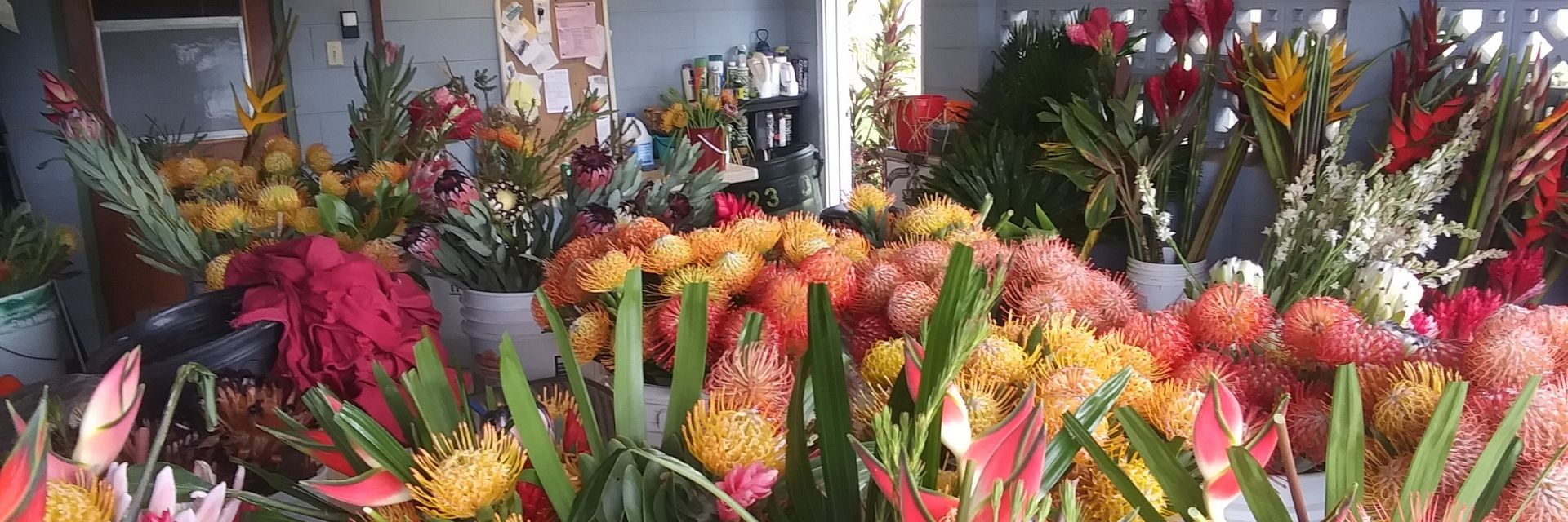 Maui Tropical Flowers - Business Photo Gallery Image