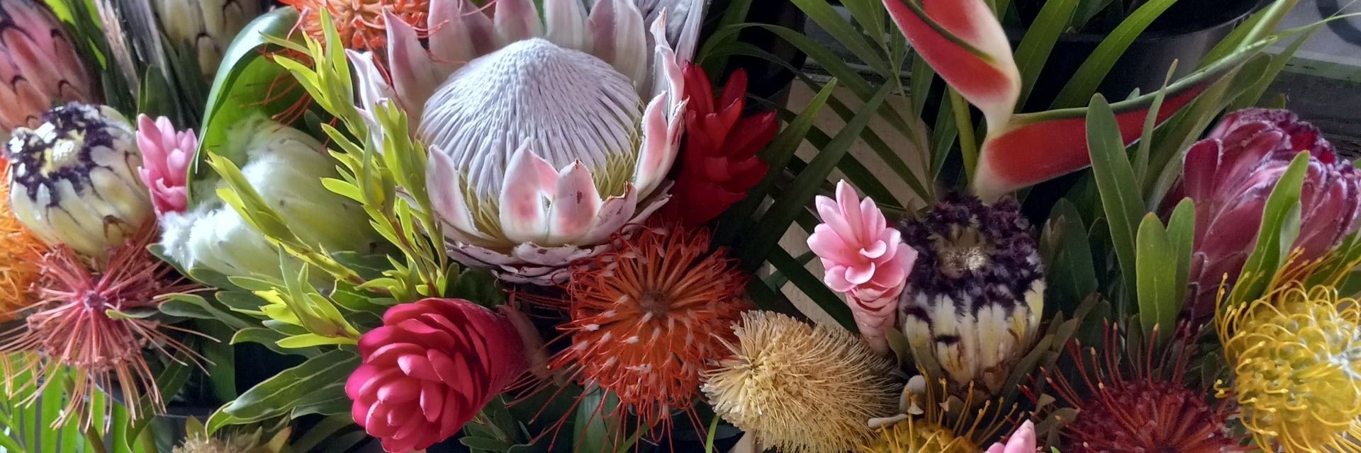 Maui Tropical Flowers - Business Photo Gallery Image