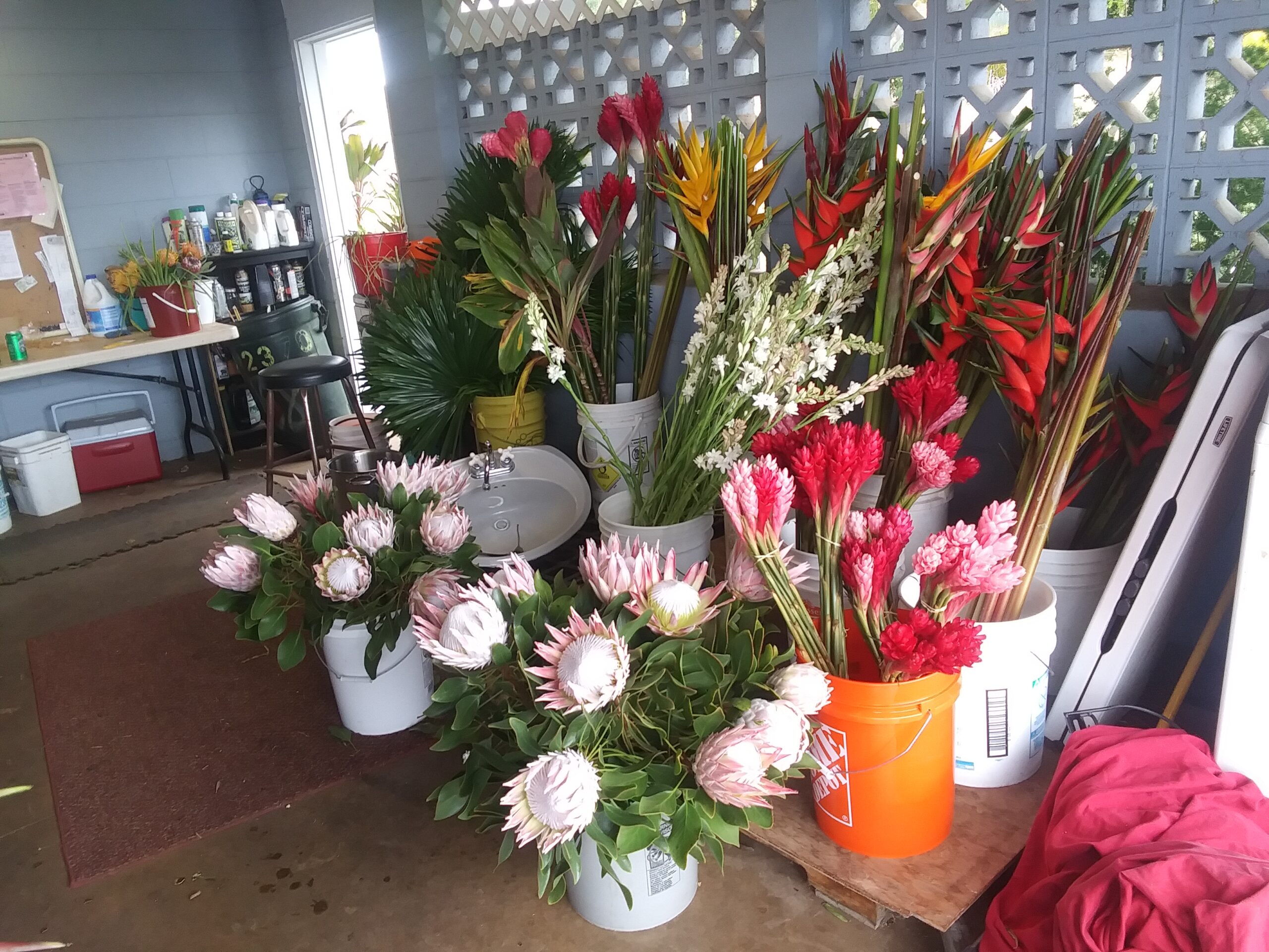 Maui Tropical Flowers - Business Photo Gallery Image