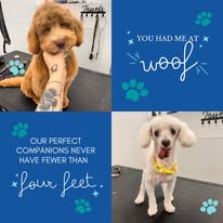 Chews 4 Paws - Business Photo Gallery Image