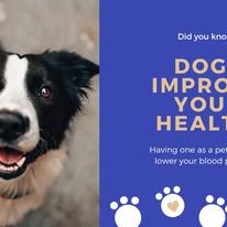 Chews 4 Paws - Business Photo Gallery Image