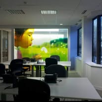 Solar Tinting, Inc / Indianapolis, Carmel, Fishers, Greenwood, Avon - Business Photo Gallery Image