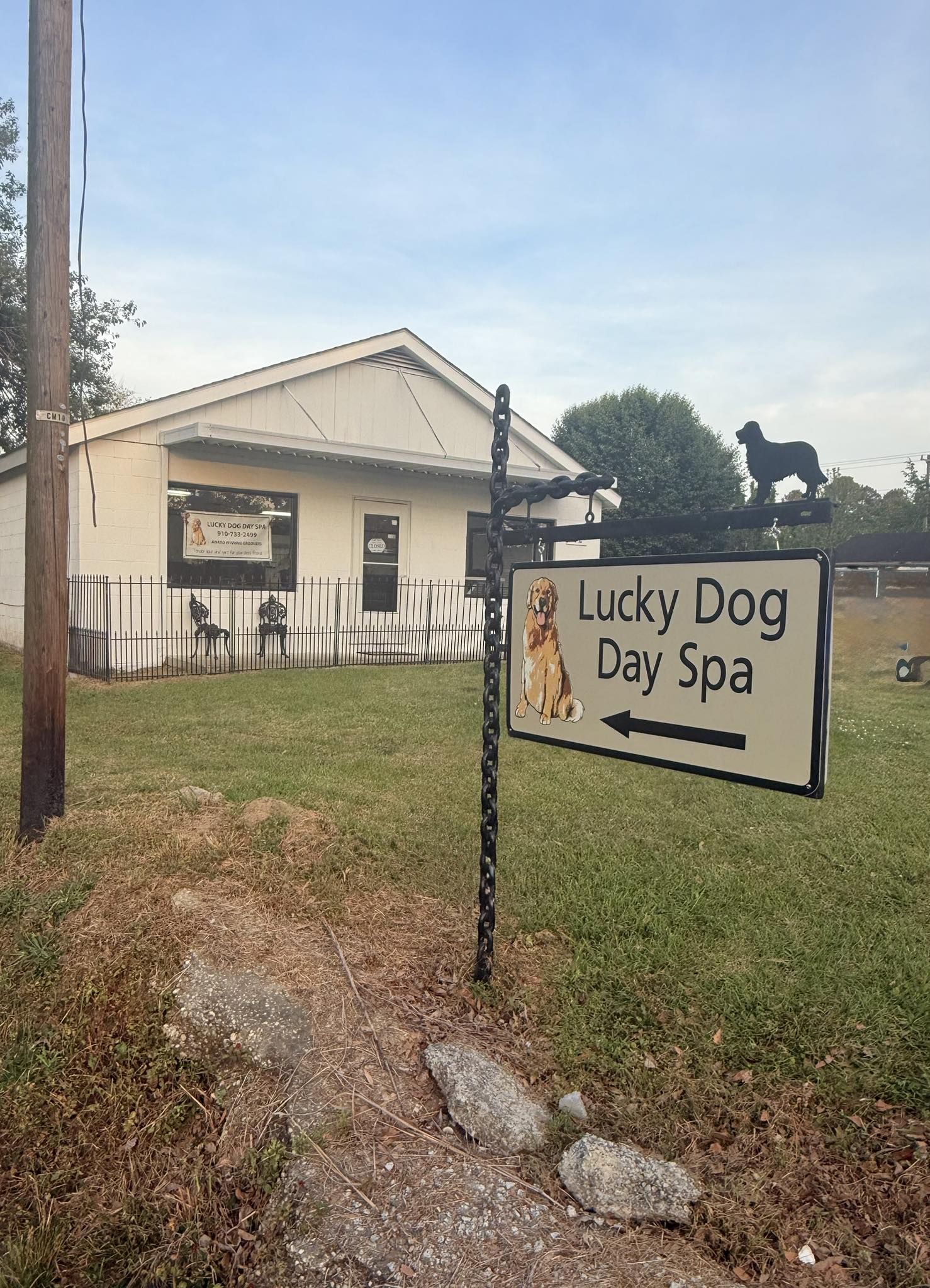 Lucky Dog Day Spa - Logo