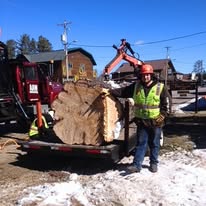 AAW Tree Service - Business Photo Gallery Image
