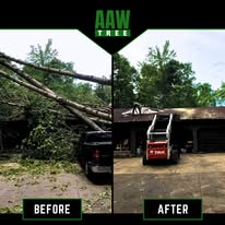AAW Tree Service - Business Photo Gallery Image
