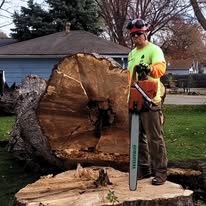 AAW Tree Service - Business Photo Gallery Image