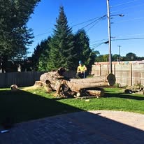 AAW Tree Service - Business Photo Gallery Image
