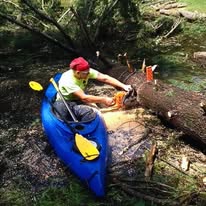 AAW Tree Service - Business Photo Gallery Image