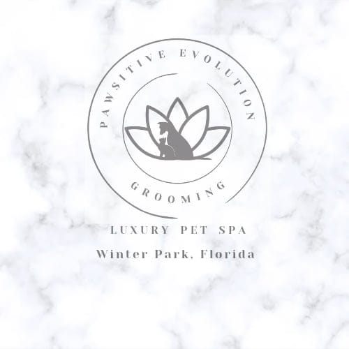 Pawsitive Evolution Pet Spa