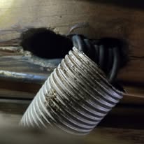 Lenards Pest Pros - Business Photo Gallery Image