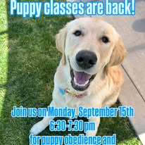 Pups - Business Photo Gallery Image