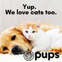 Pups - Business Photo Gallery Image