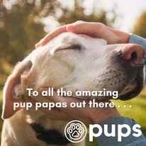 Pups - Business Photo Gallery Image