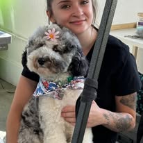Sydnee's Pet Grooming - Business Photo Gallery Image
