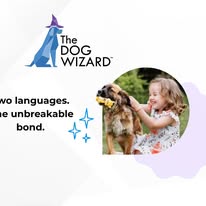 The Dog Wizard Medina - Business Photo Gallery Image