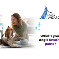 The Dog Wizard Medina - Business Photo Gallery Image