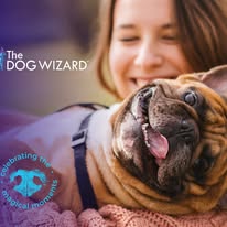 The Dog Wizard Medina - Business Photo Gallery Image
