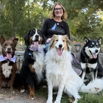 The Dog Wizard Medina - Business Photo Gallery Image