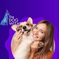 The Dog Wizard Medina - Business Photo Gallery Image