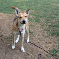 Pack Academy, LLC - Business Photo Gallery Image