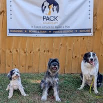Pack Academy, LLC - Business Photo Gallery Image