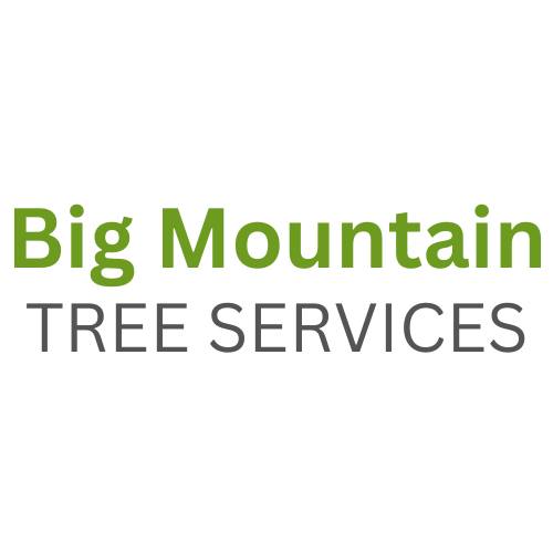 Big Mountain Tree Service