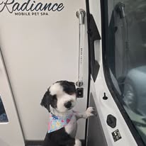 Radiance Mobile Pet Spa - Business Photo Gallery Image
