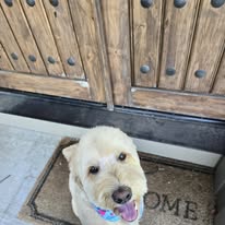 Radiance Mobile Pet Spa - Business Photo Gallery Image
