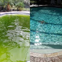 Honest Pool Service LLC - Business Photo Gallery Image