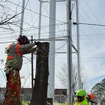 Ox Tree Services, LLC - Business Photo Gallery Image