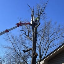 Ox Tree Services, LLC - Business Photo Gallery Image