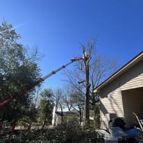 Ox Tree Services, LLC - Business Photo Gallery Image
