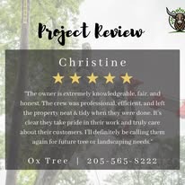 Ox Tree Services, LLC - Business Photo Gallery Image