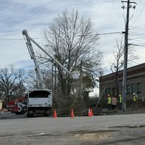 Ox Tree Services, LLC - Business Photo Gallery Image