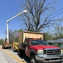 1 And Done Tree Service, LLC - Business Photo Gallery Image