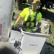 1 And Done Tree Service, LLC - Business Photo Gallery Image