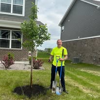 1 And Done Tree Service, LLC - Business Photo Gallery Image