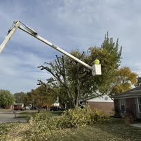 1 And Done Tree Service, LLC - Business Photo Gallery Image
