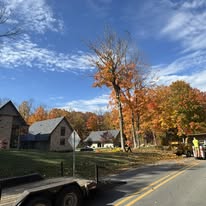 1 And Done Tree Service, LLC - Business Photo Gallery Image