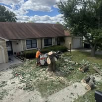 1 And Done Tree Service, LLC - Business Photo Gallery Image