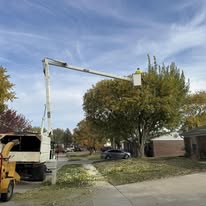 1 And Done Tree Service, LLC - Business Photo Gallery Image